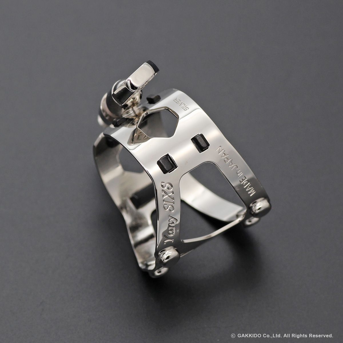 Yanagisawa(ヤナギサワ) Yany SIXS Solid Silver アルトサックス用