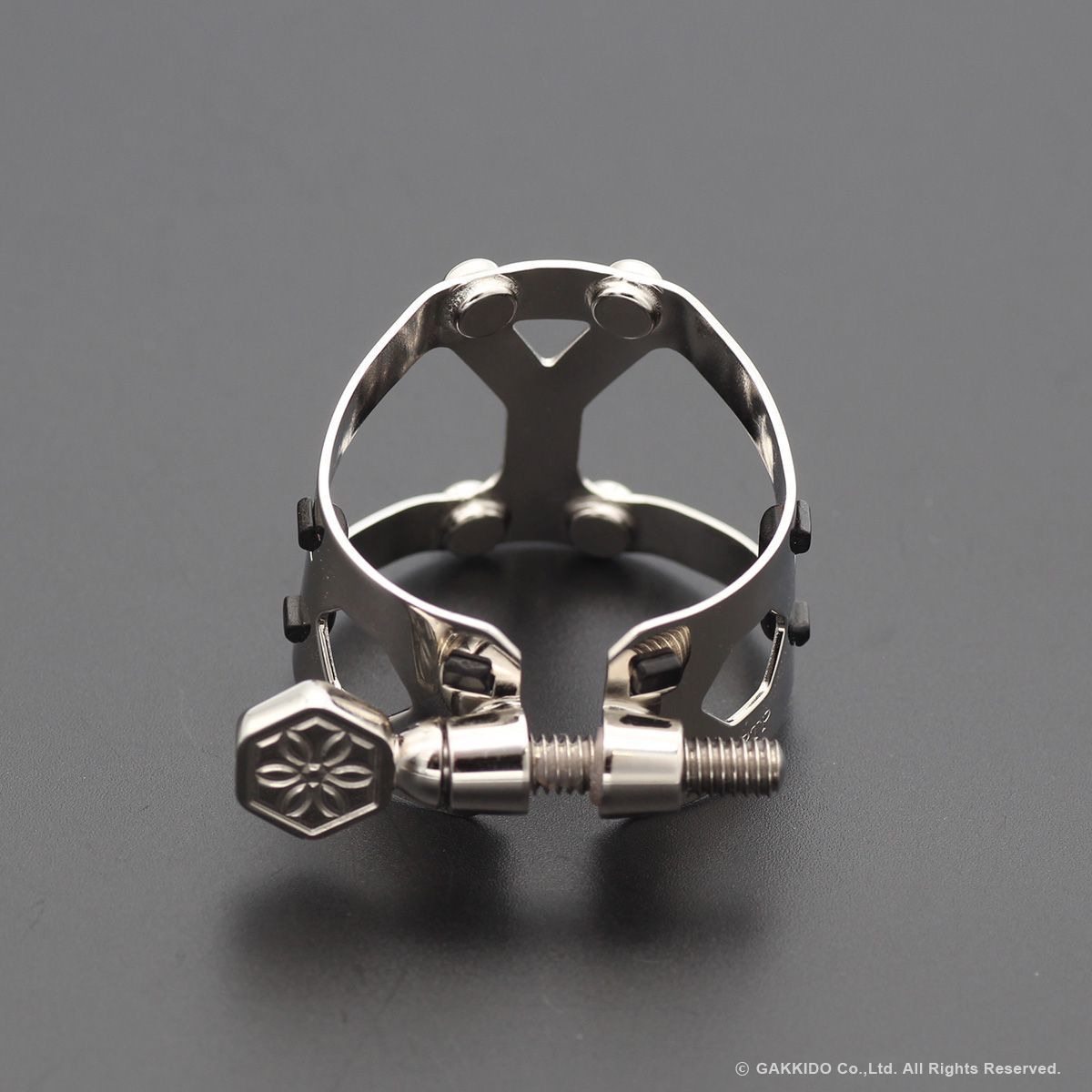 Yanagisawa(ヤナギサワ) Yany SIXS Solid Silver アルトサックス用