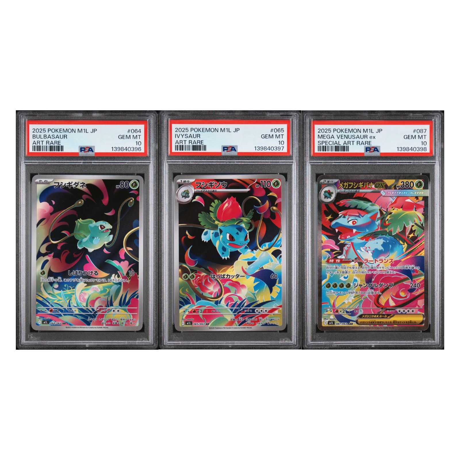 ポケモンカード 151 フシギダネ フシギソウ フシギバナ 進化ライン