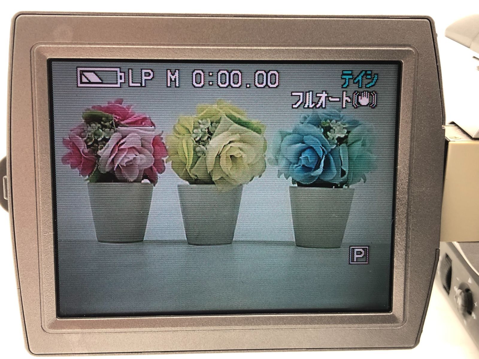 Panasonic パナソニック NV-MX1000 miniDVビデオカメラ 整備済み