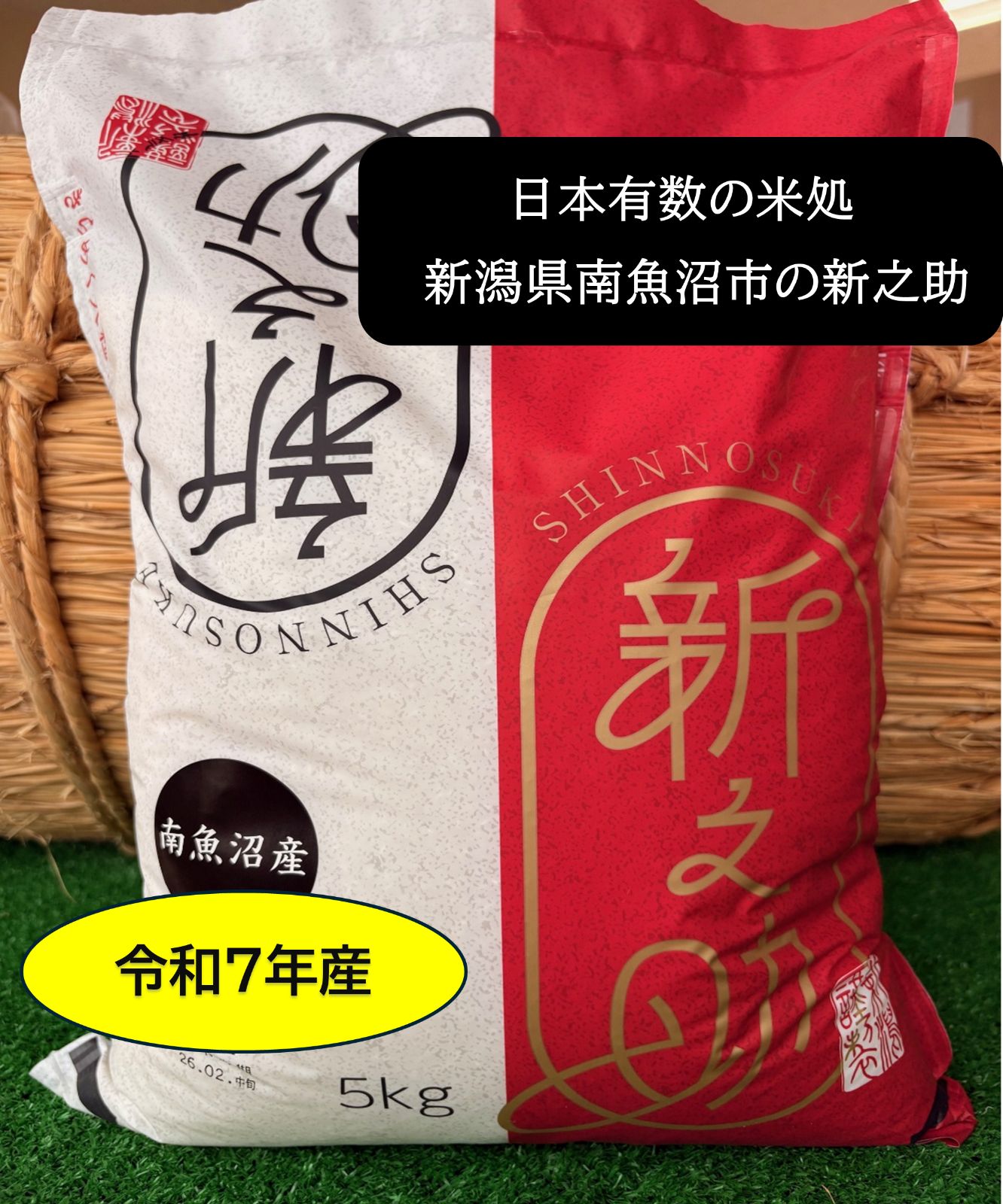 新潟南魚沼産 新之助 10kg 令和7年産【極上米】 - メルカリ