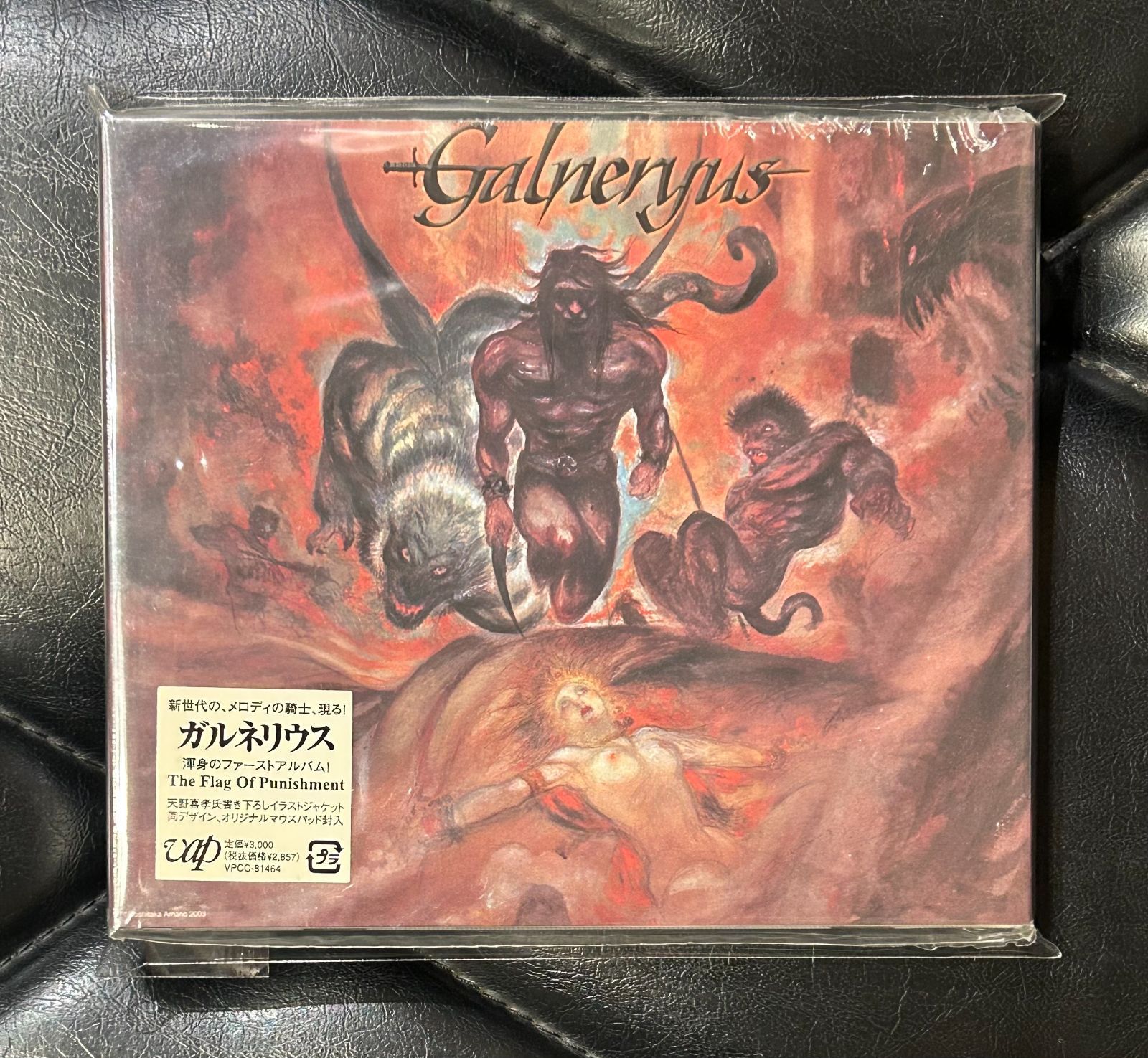国内盤CD】ガルネリウス「The Flag Of Punishment」Galneryus - メルカリ
