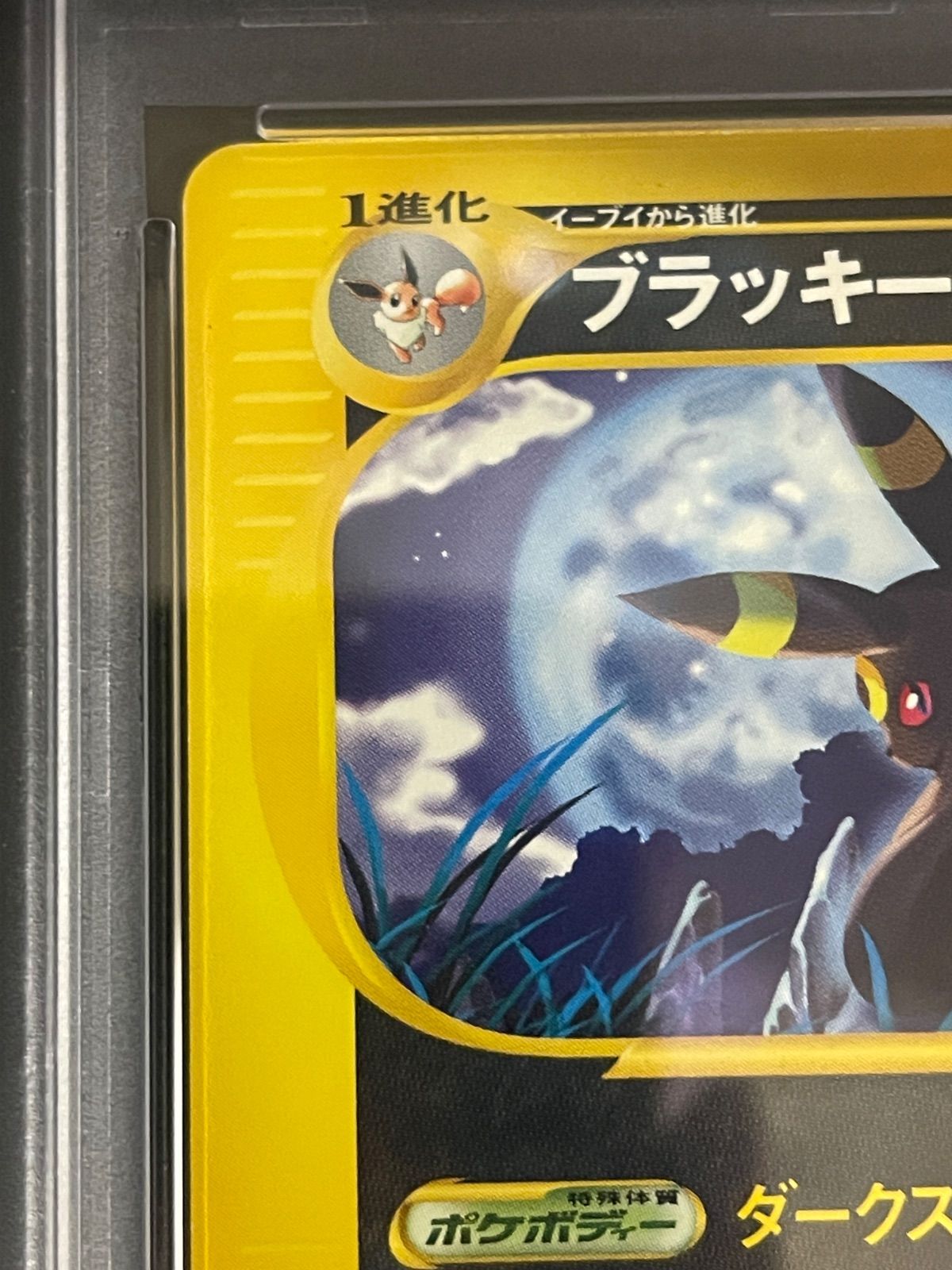 ポケモンカード 2002年 ブラッキー 071/088 1stED 裂けた大地 PSA8.5