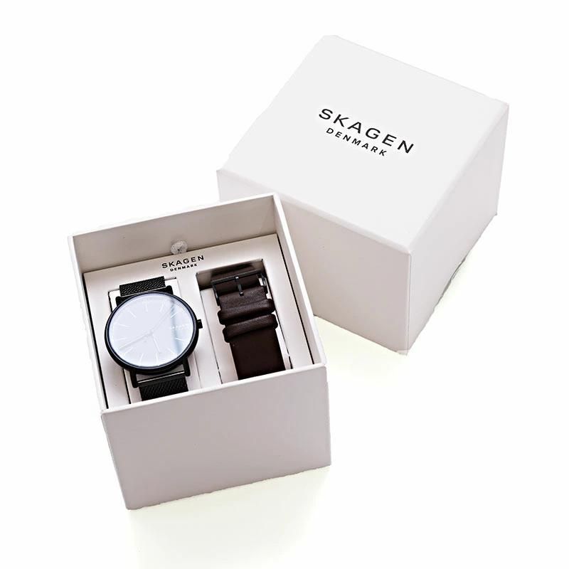 SKAGEN SKW6933SET 40MM 腕時計 ウォッチ＆ストラップセット 並行輸入 