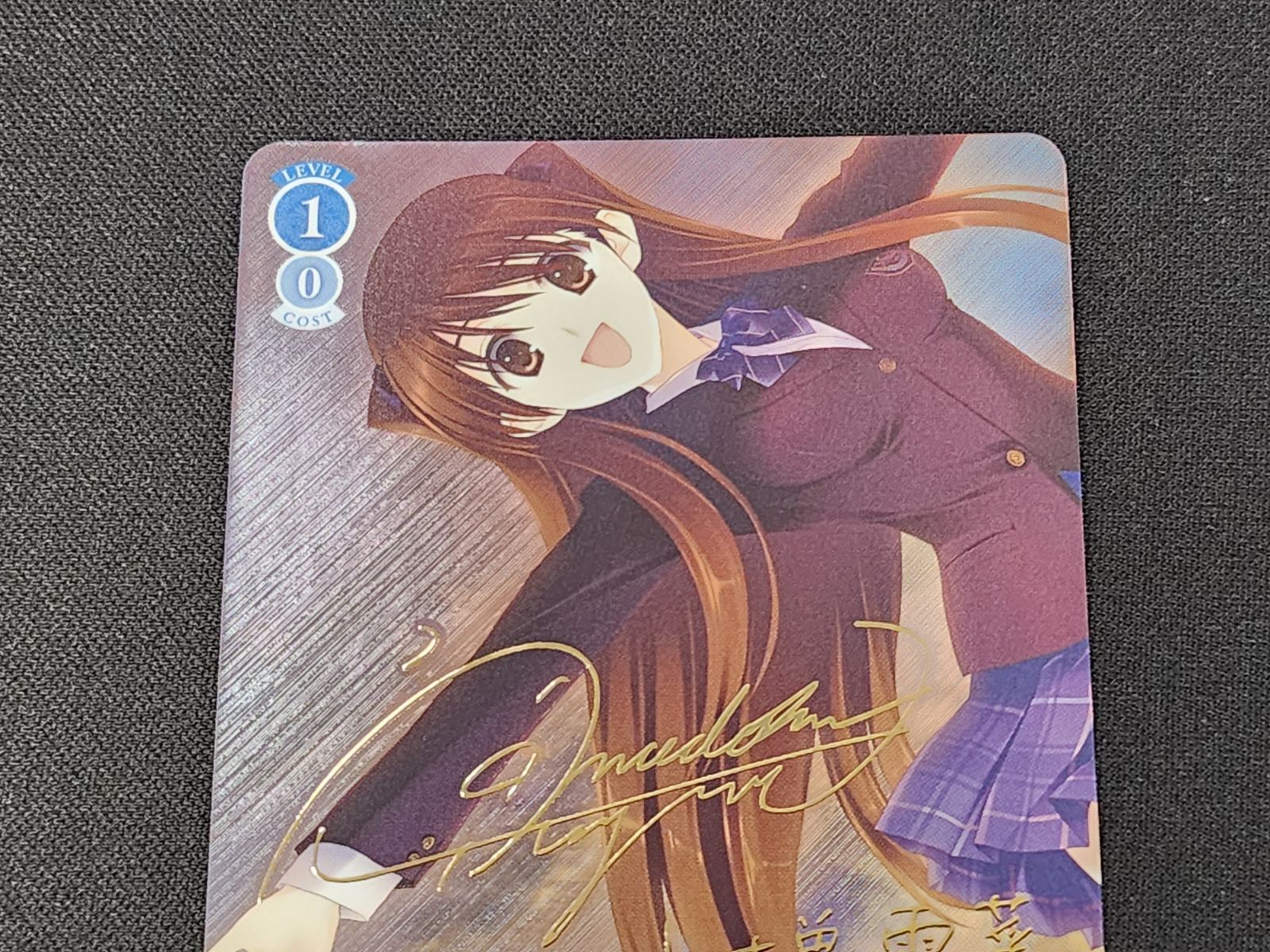 WS ヴァイスシュヴァルツロゼ AQUAPLUS 届かない恋 小木曽雪菜 PR