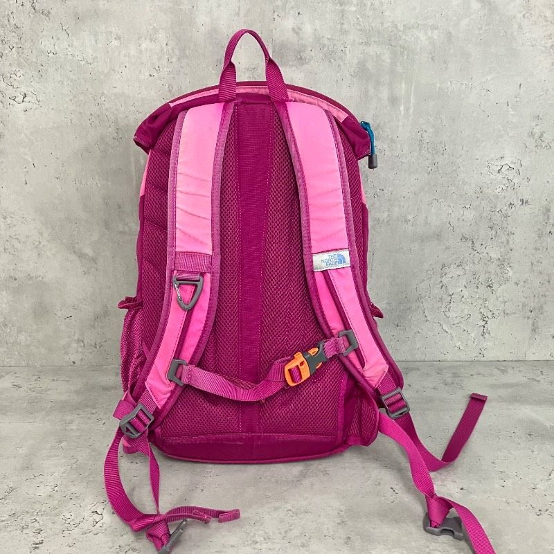 THE NORTH FACE ザノースフェイス TELLUS 20 テルス20 リュックサック