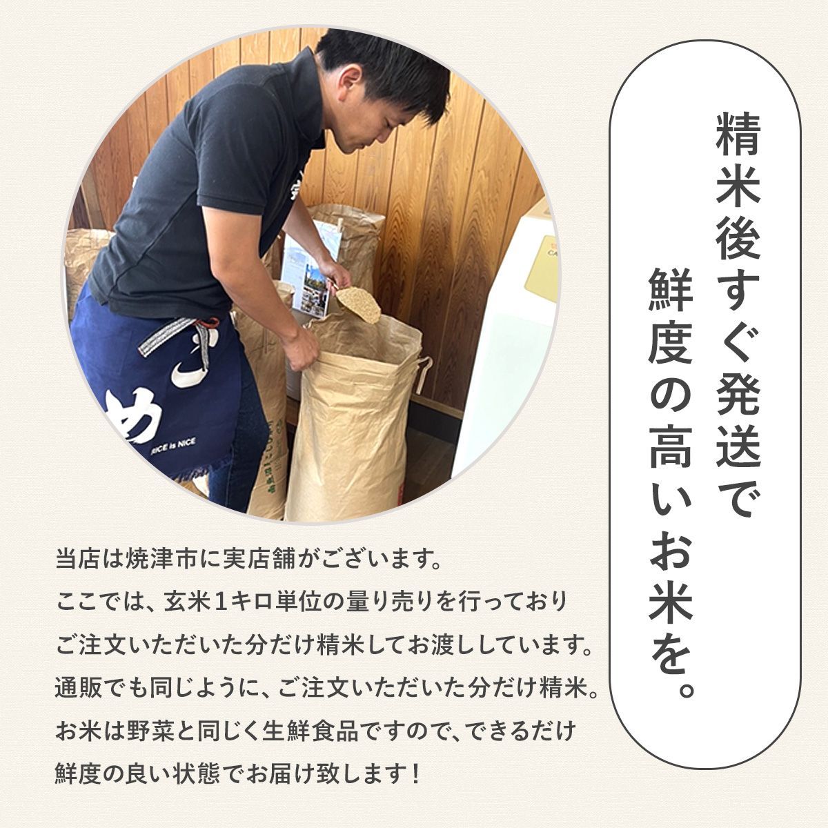 令和7年産新米 にこまる 10kg 静岡県産 5つ星お米マイスター厳選 