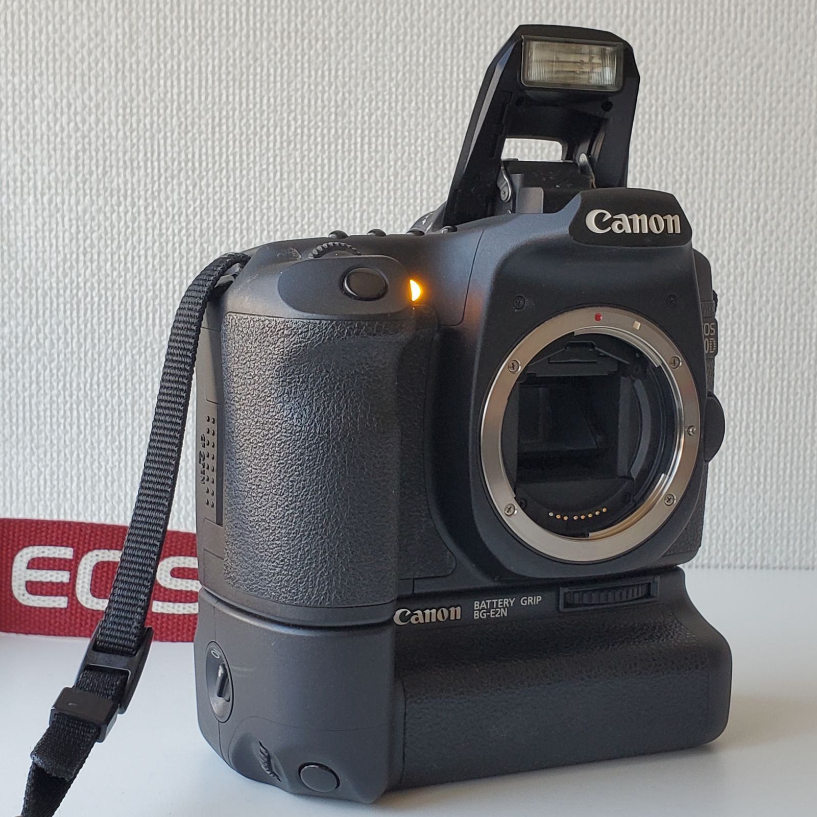 実写作例あり 通電・基本動作確認 キャノン Canon EOS 50D 単三電池が