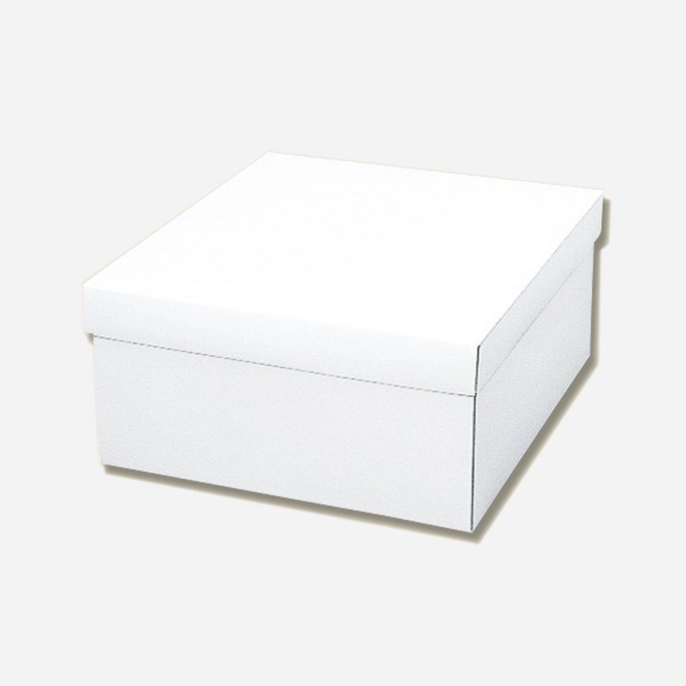 新品 ヘイコー 箱 白無地ボックス カバン用 B 27.2x30.5x13.5cm 10枚