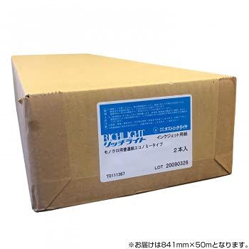 【新品・5営業日で発送】ディーソル(Deesol) オストリッチダイヤ RJP64モノクロ用普通紙エコノミータイプ 841mm×50m 2本入 RJP64-10 (1683949)