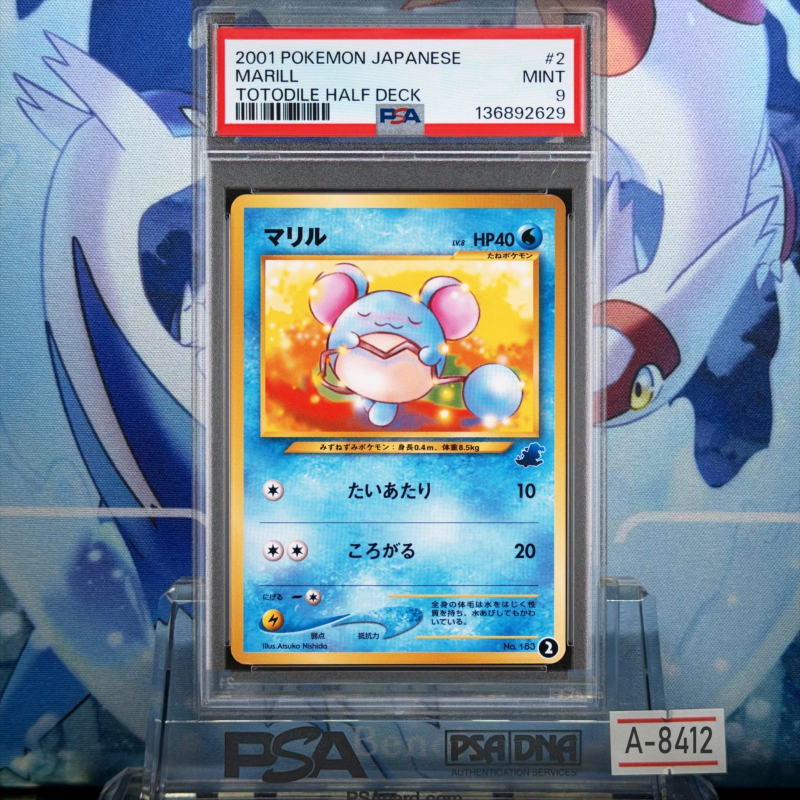 【旧裏】ポケモンカード マリル イントロパック★neo 旧裏】ポケモンカード マリル イントロパック☆neo マリル: 旧裏[neoI