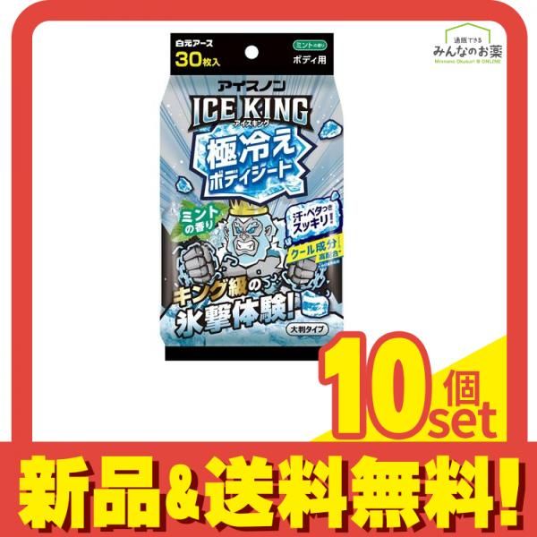 アイスノン ICE KING アイスキング 極冷えボディシート ミントの香り 30枚入 10個セット まとめ売り