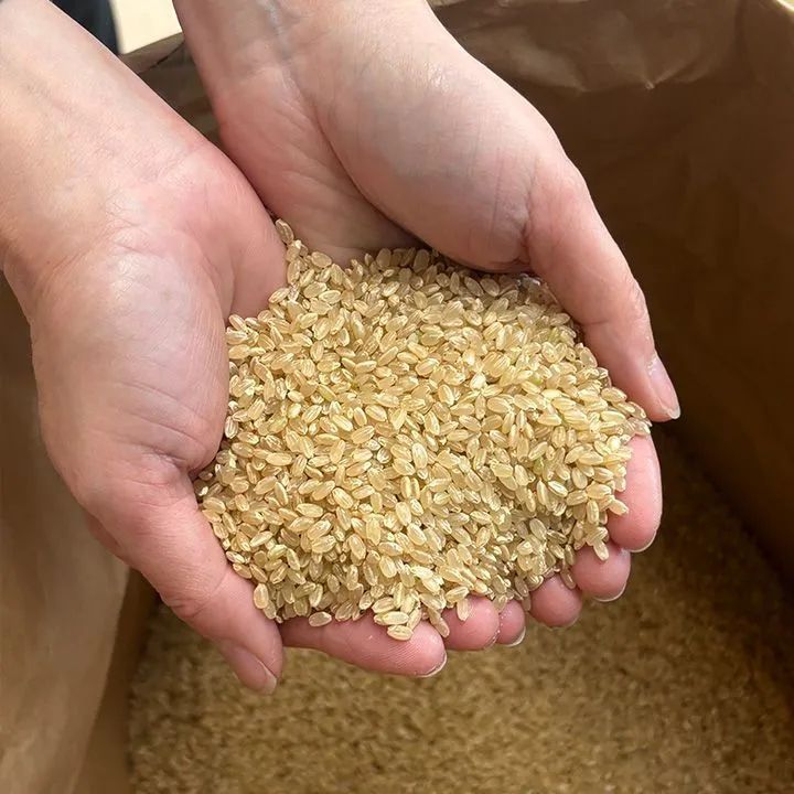 玄米20kg】令和7年産 にじのきらめき 大粒 送料込 - メルカリ