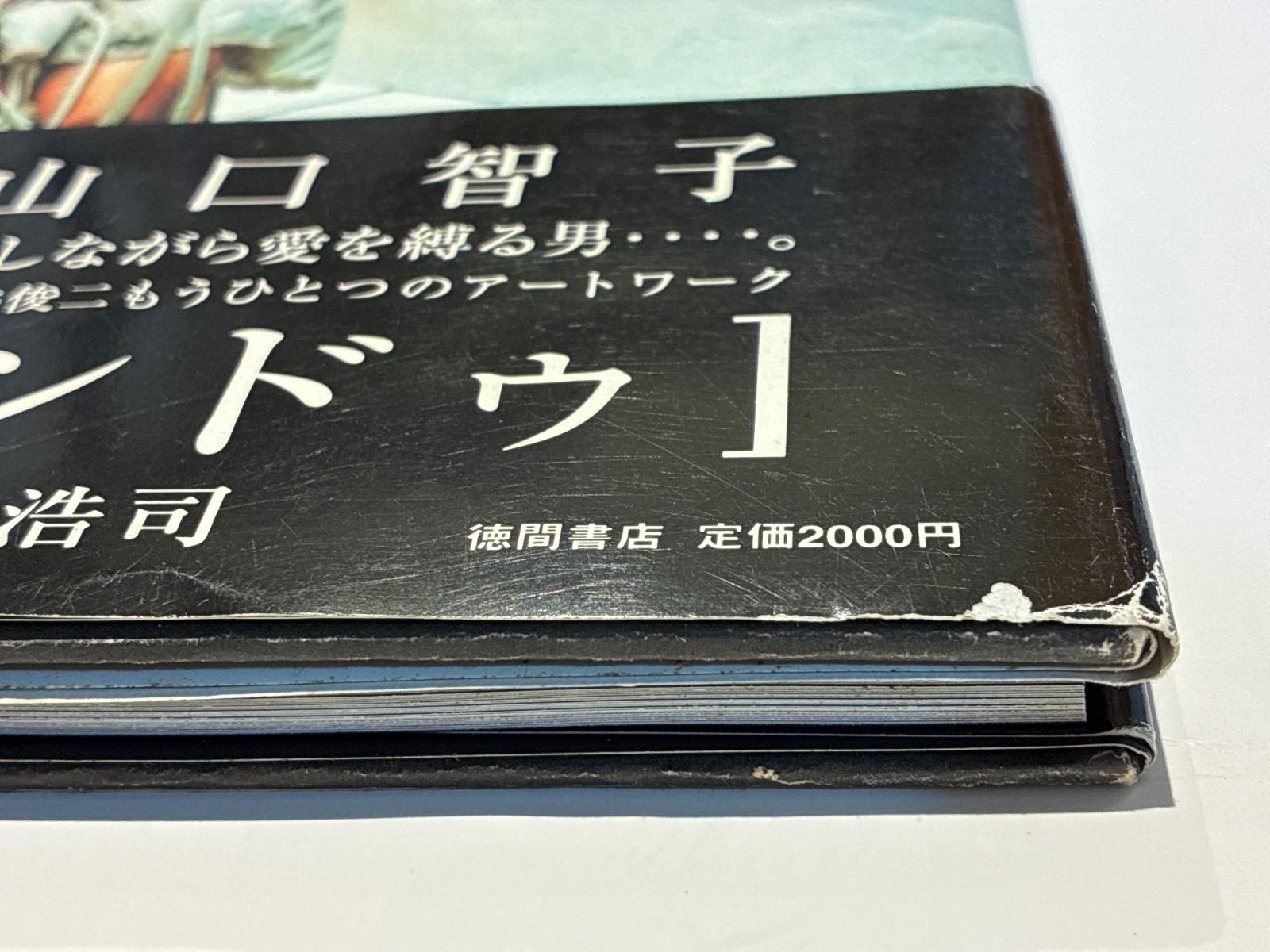 写真集 undo ［アンドゥ］撮影:野村浩司 監修:岩井俊二 豊川悦司＋山口