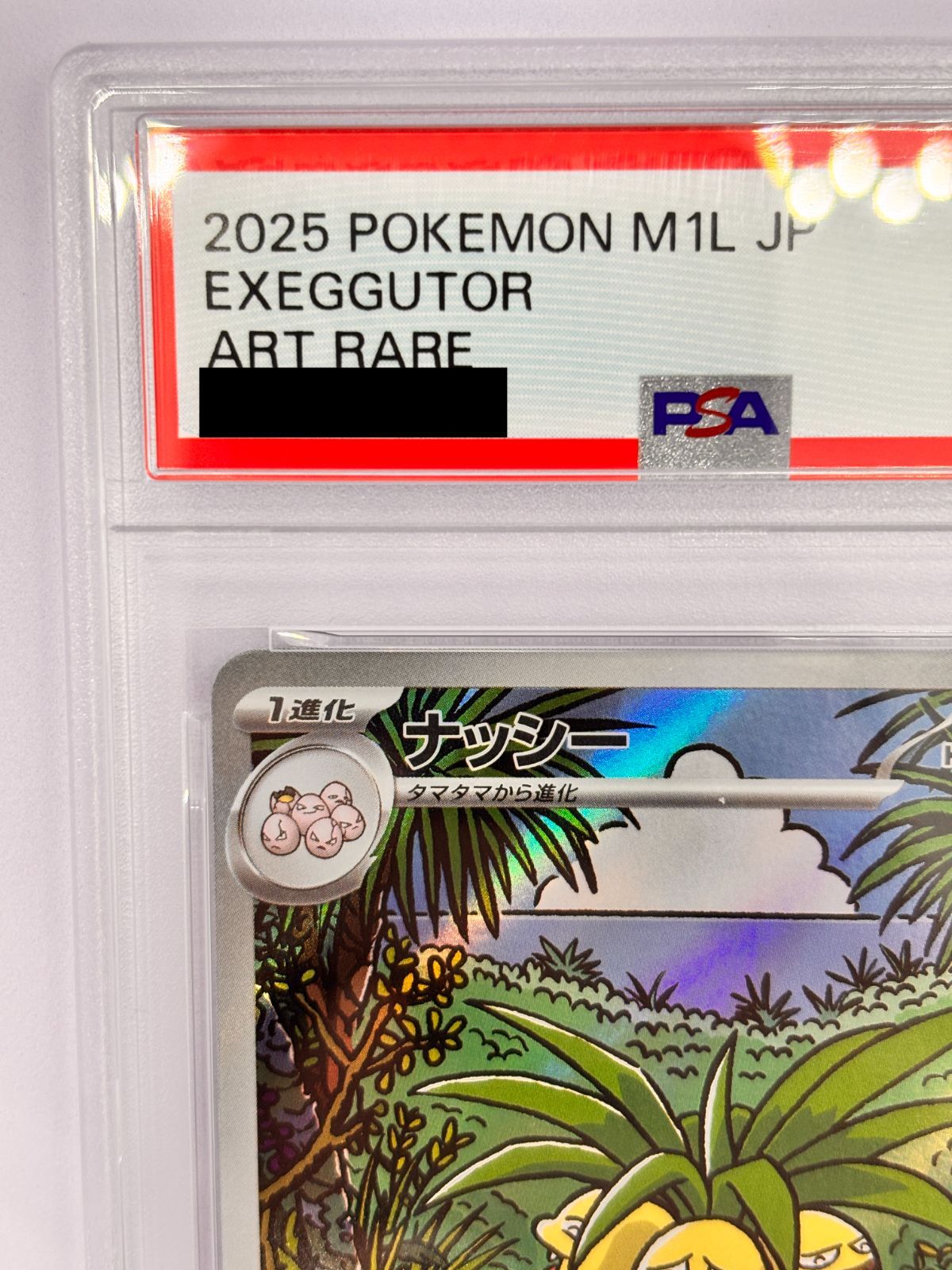 PSA10】ナッシー AR M1L 066/063 ポケモンカード メガブレイブ 鑑定品