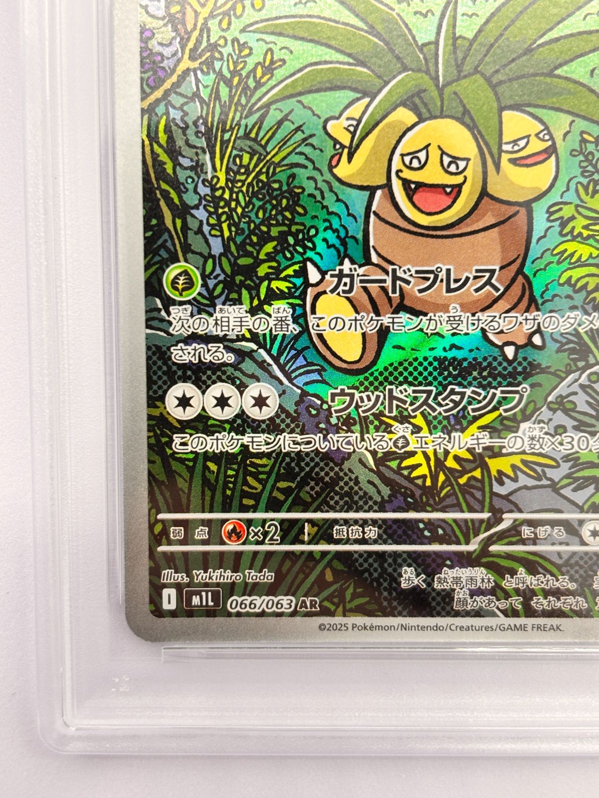 【PSA10】ナッシー AR M1L 066/063 メガブレイブ PSA10】ナッシー AR M1L 066/063 ポケモンカード メガブレイブ 鑑定品