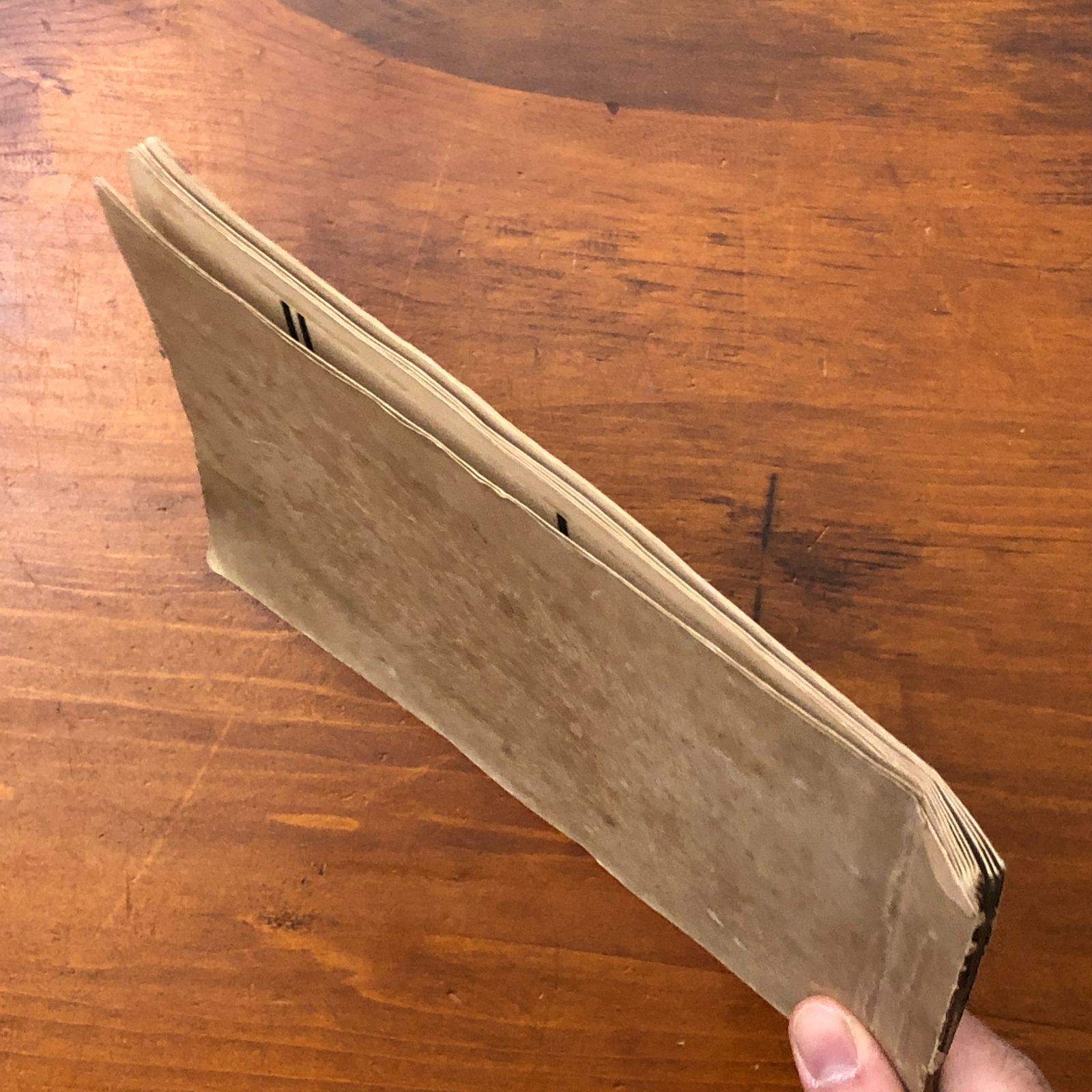 春画木版画張り込み帖 12面1冊 時代不明 ☆春画/浮世絵/秘画/艶本/江戸