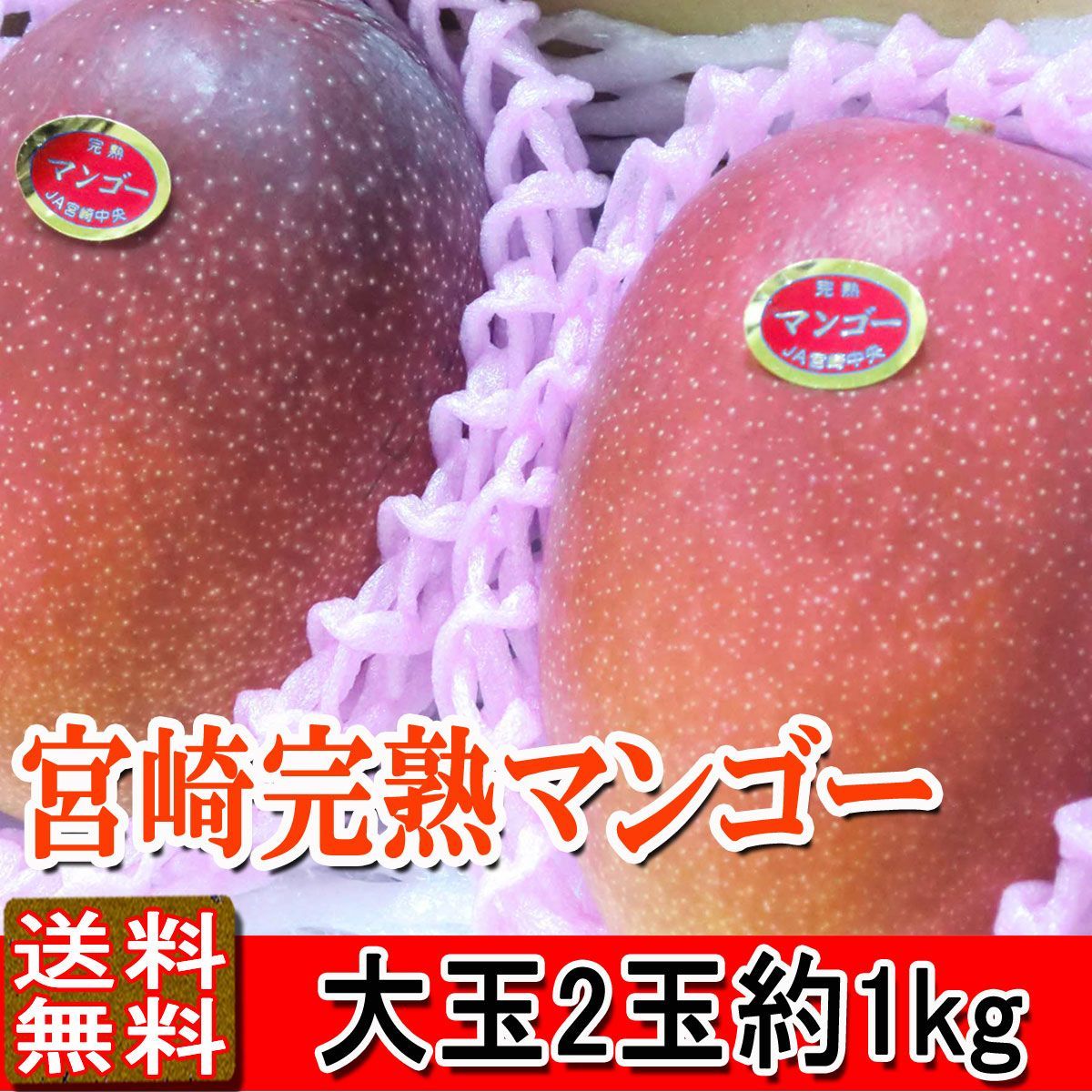 宮崎マンゴー みやざき産 完熟マンゴー 大玉2玉 約1kg 送料無料 贈答用 ご予約 訳あり品ではございません