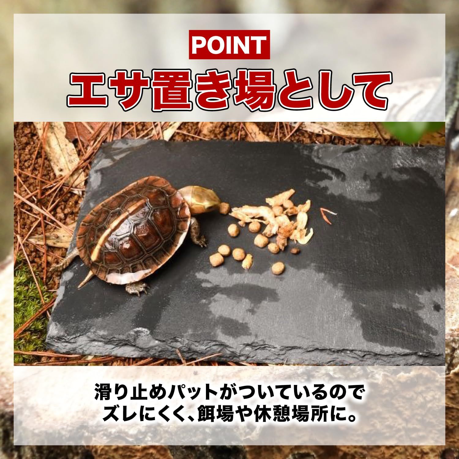 FJmark 爬虫類 亀 カメ 乾燥 床材 プレート 餌置き フードプレート 爪磨き 保温 保湿 (20×20cm) 3枚セット [20×20cm×3]