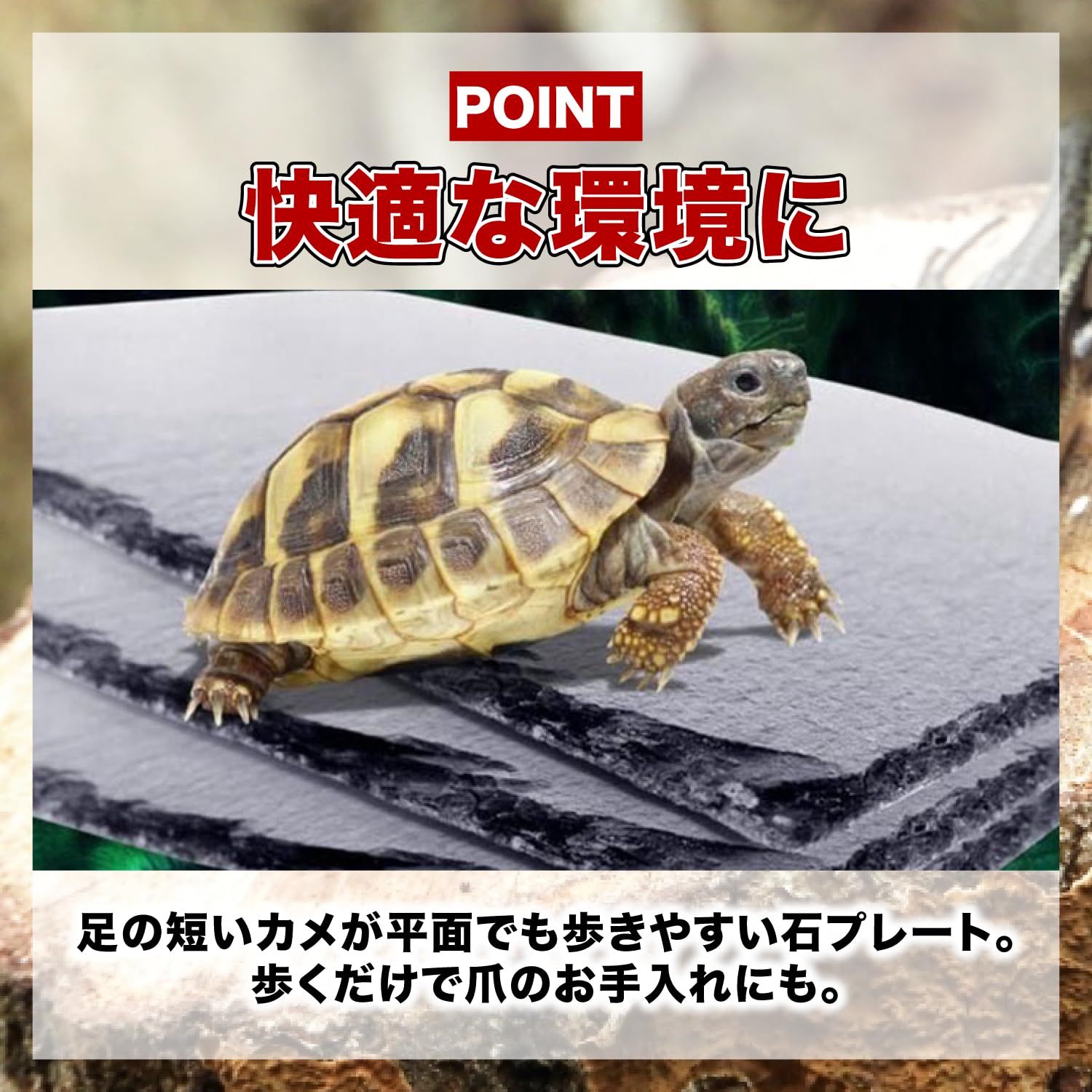 FJmark 爬虫類 亀 カメ 乾燥 床材 プレート 餌置き フードプレート 爪磨き 保温 保湿 (20×20cm) 3枚セット [20×20cm×3]
