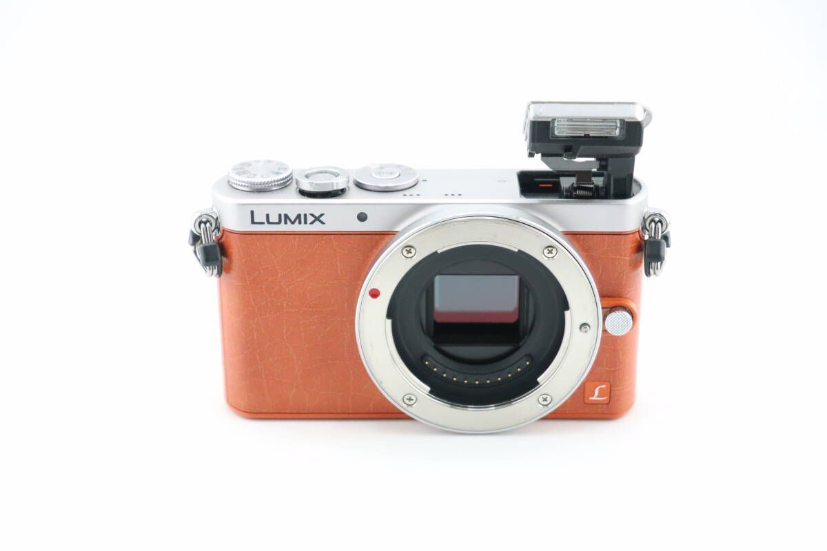 ☆パナソニック Panasonic LUMIX DMC-GM1 ボディ☆ I0414＃4737 - メルカリ