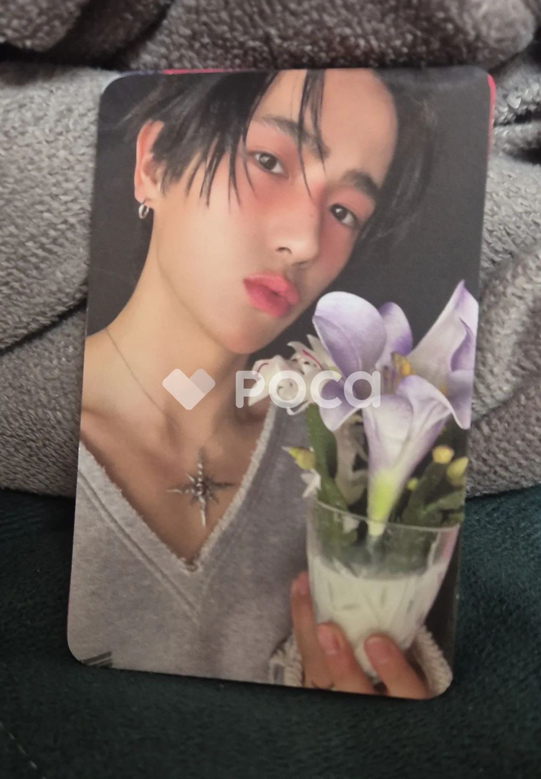 SHINee、防弾少年団、少女時代など トレカ jp.ktown4u.com : SHINee - [17TH ANNIVERSARY MD] LUCKY CARD SET