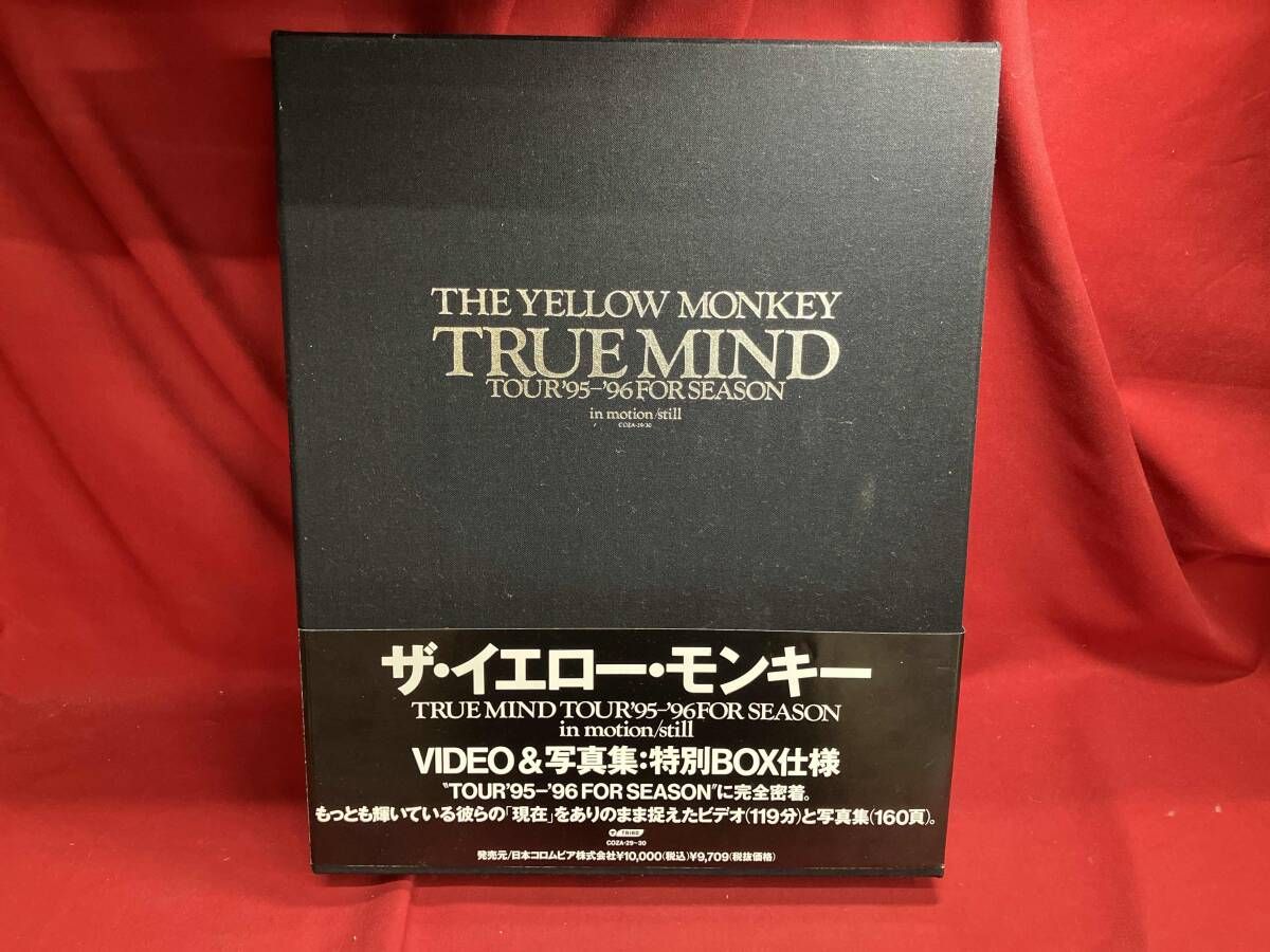 【未開封】特別BOXザイエローモンキー TRUEMIND '95-'96イエモン 未開封】特別BOXザイエローモンキー TRUEMIND '95-'96イエモン 【公式