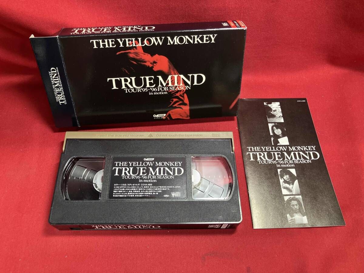 ザ・イエローモンキーTRUEMINDTOUR　95年～96年　特別BOX ザ・イエローモンキーTRUEMINDTOUR 95年～96年 特別BOX - メルカリ
