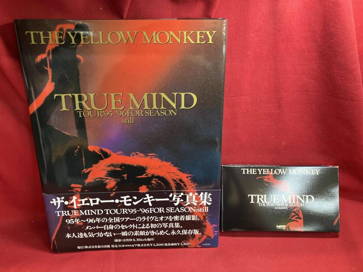 未開封】特別BOXザイエローモンキー TRUEMIND '95-'96イエモン 【公式