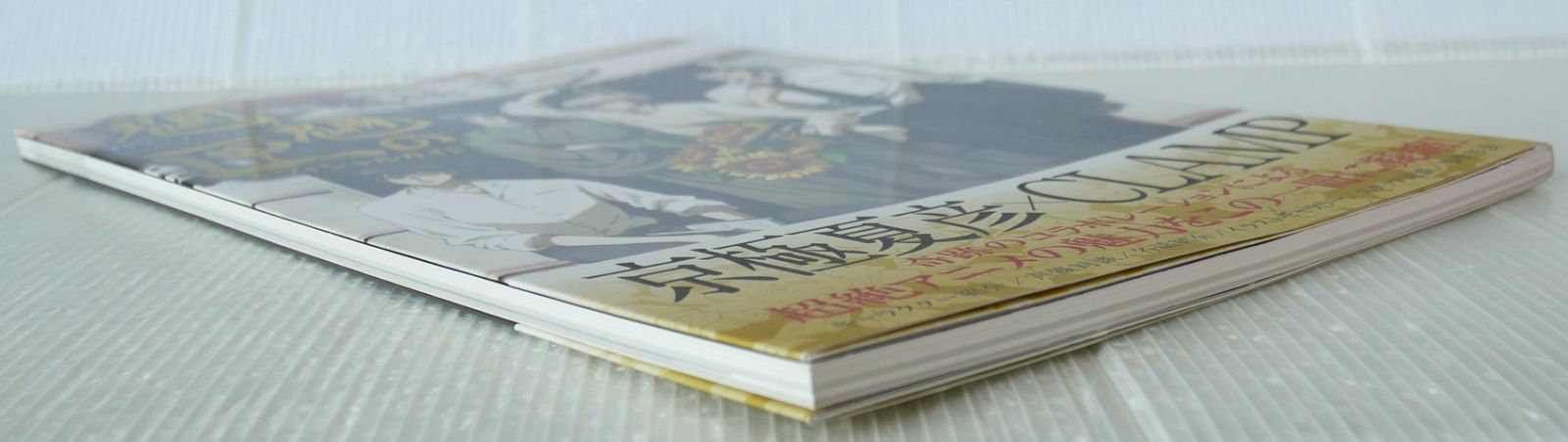 本 (帯付き) 初版 絶版 TVアニメーション 魍魎の匣 オフィシャルガイド