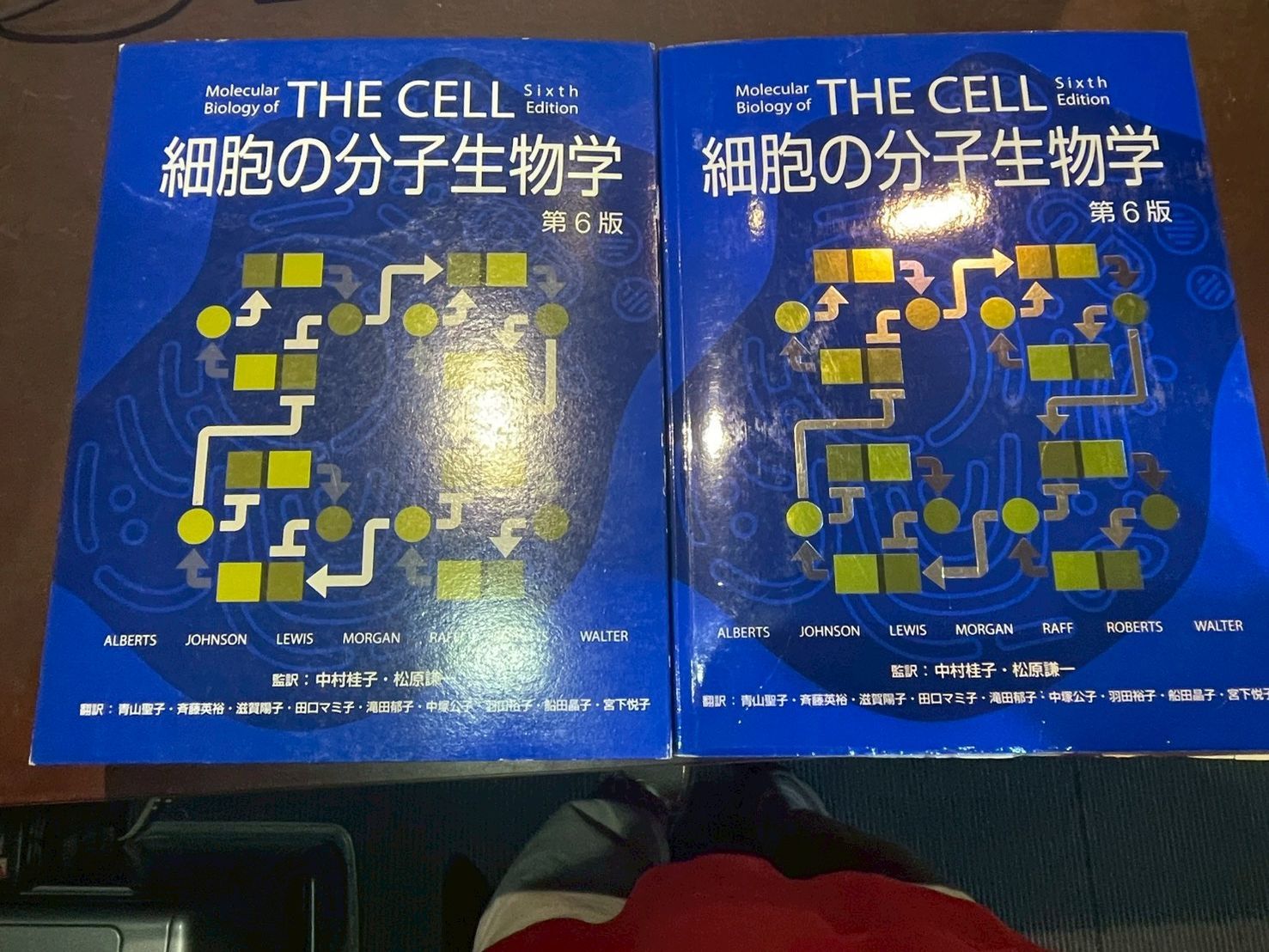 molecular biology of the cell 第7版 Molecular Biology of the Cell