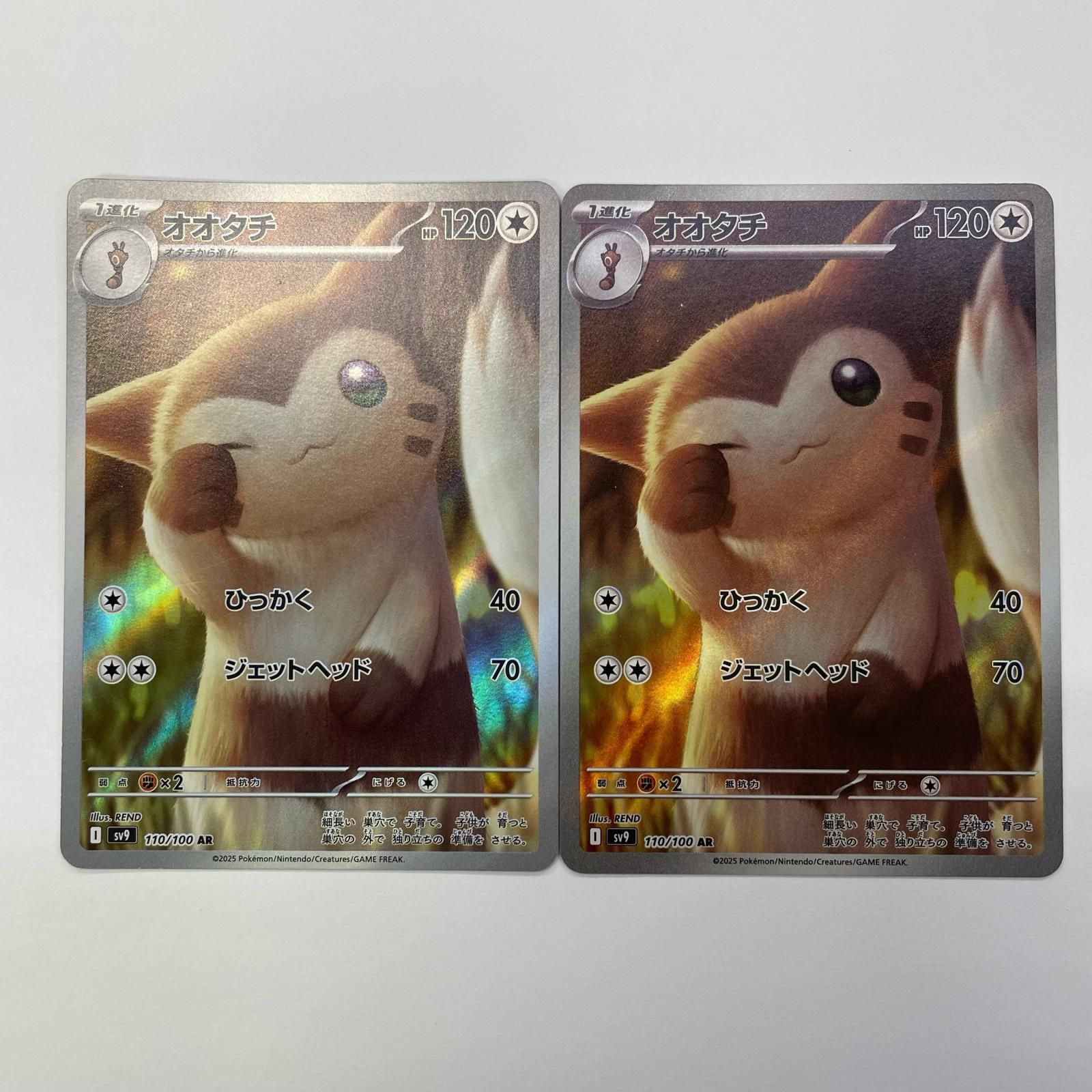 飾磨店】 中古 オオタチ AR SV9-110 - メルカリ