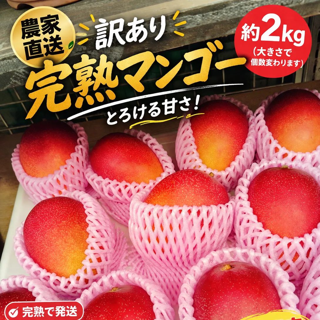 食品 宮崎産 完熟マンゴー 訳あり 約2kg