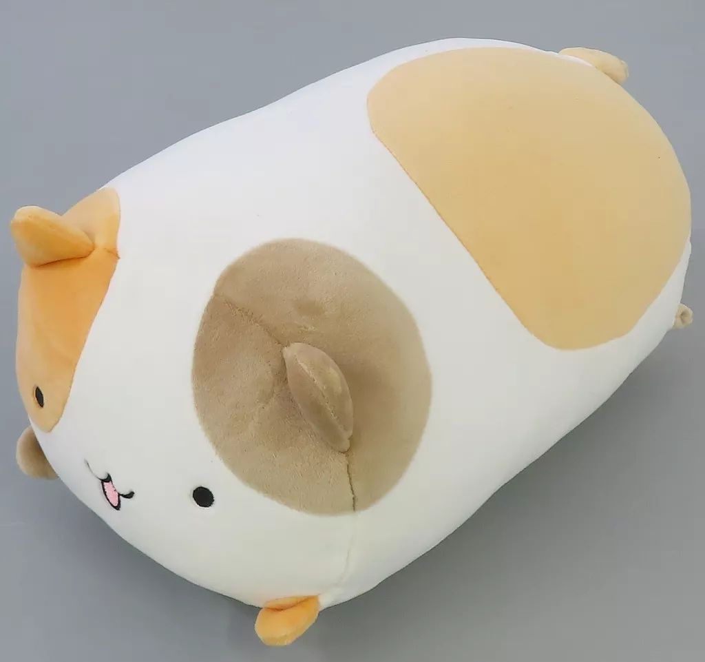中古】ぬいぐるみ D4DJ にょちお ぬいぐるみ - メルカリ