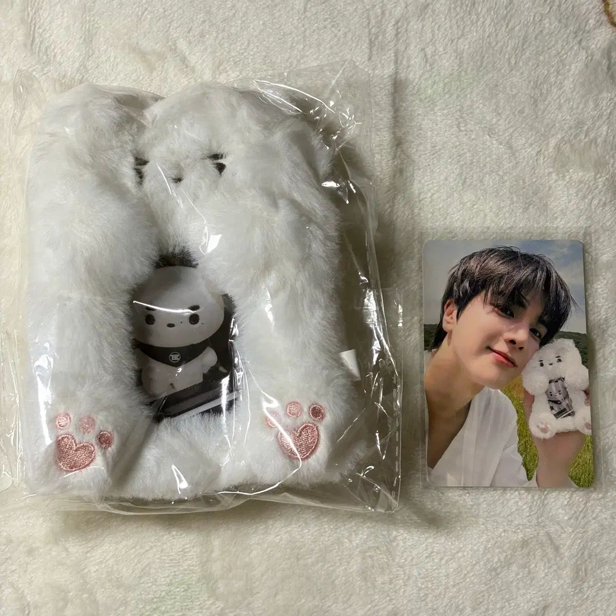 【公式】THEBOYZ ヨンフン グッズ キーホルダートレカ　ぬいぐるみ 公式】THE BOYZ ヨンフン ぬいぐるみ ヨンフン THE ぬいぐるみ