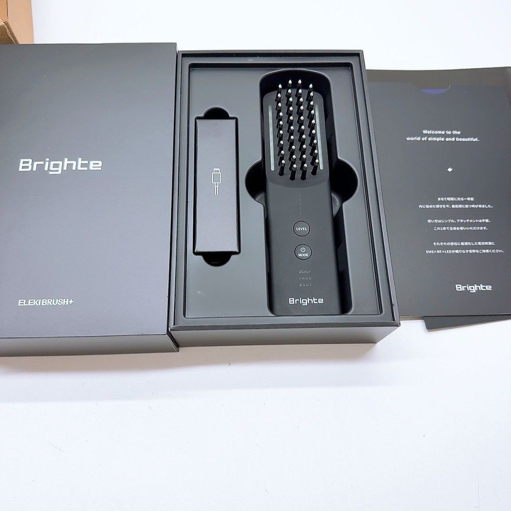 Brighte ELEKIBRUSH ブライト エレキブラシ ほぼ未使用＊付属品完備