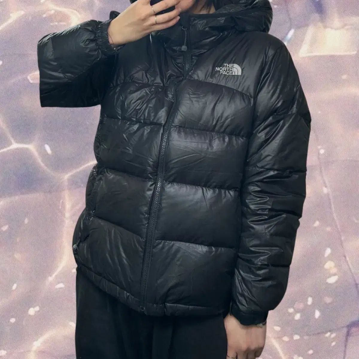 THE NORTH FACE ザノースフェイス サミット フード グースダウン 