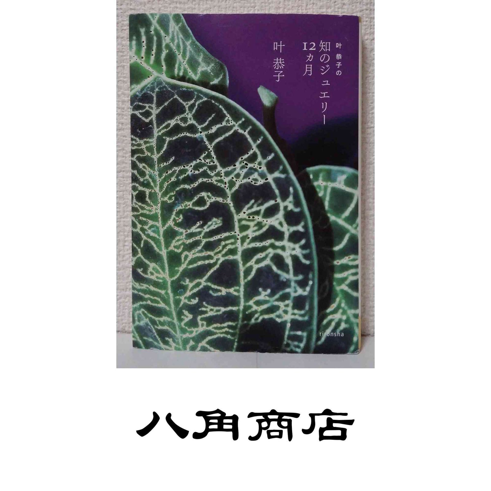 叶恭子の知のジュエリ－12カ月 初版 理論社 2008年 初版】叶恭子の知 