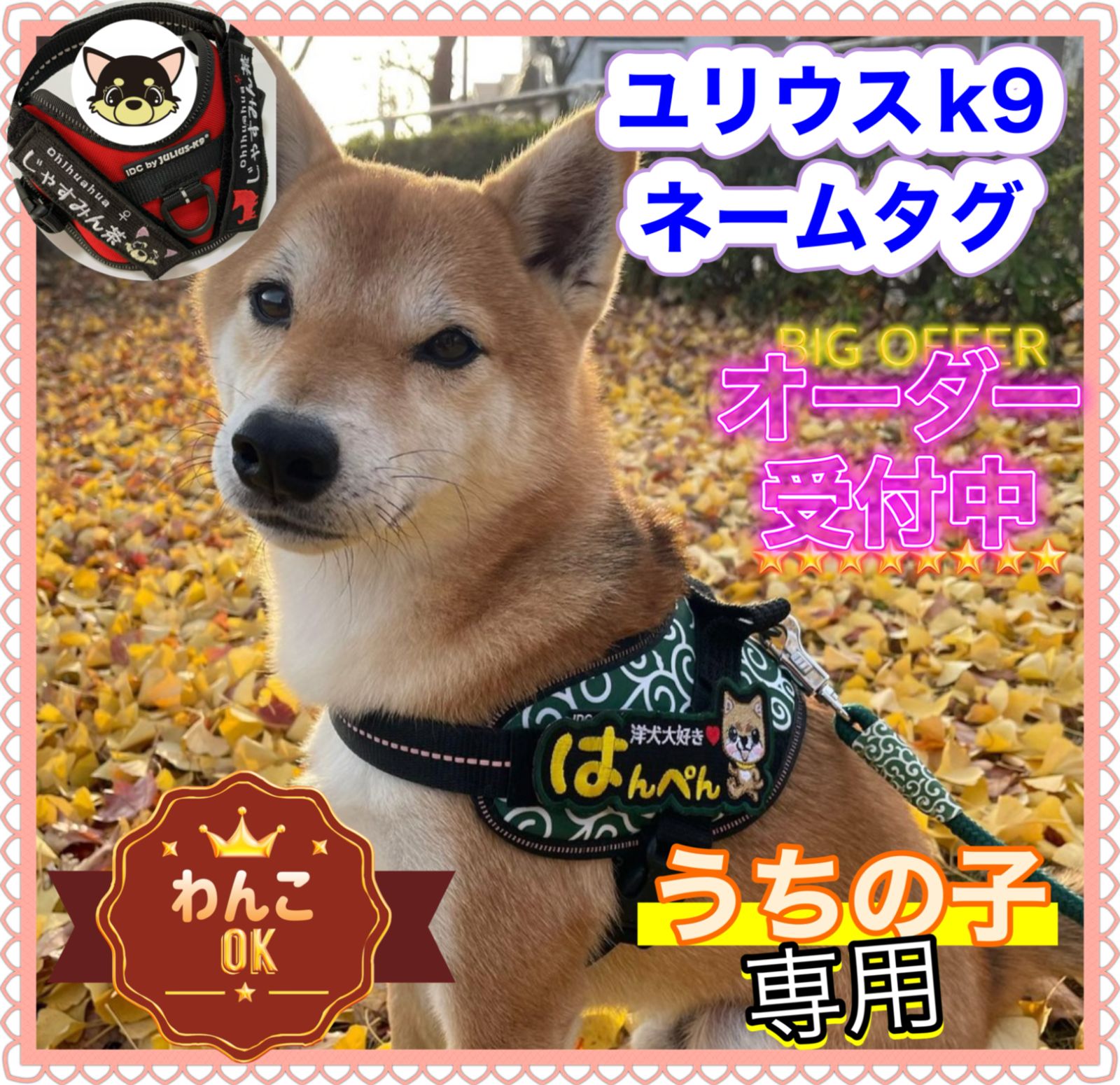ユリウスk9 ネームタグ NO4 モチーフ 名前刺繍ワッペン ハーネス名札