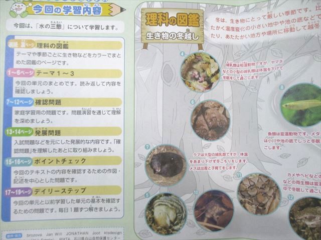 SAPIX 小5 デイリーサピックス 理科 【計37回分】 通年セット 2024