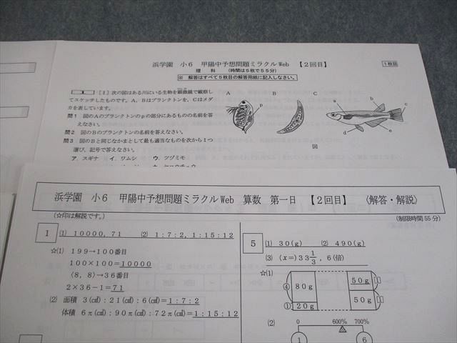 浜学園 小6 甲陽中予想問題ミラクルWeb【2回目】 算数/国語/理科 全て