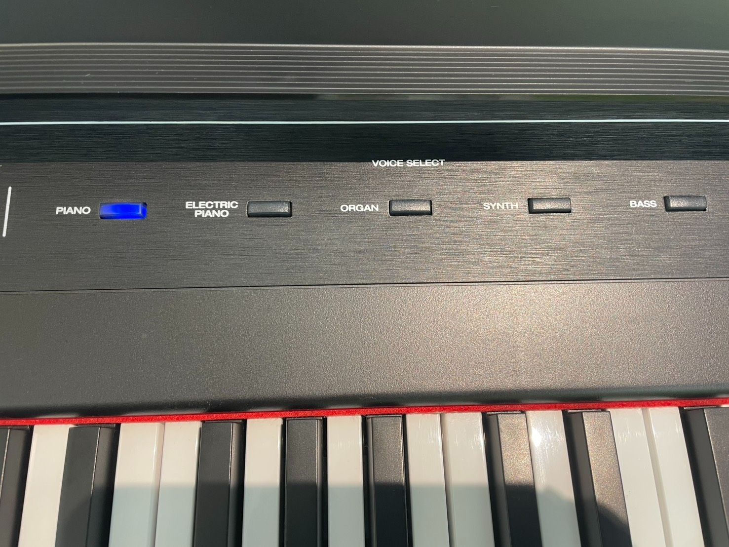 成】極美品!! ALESIS RECITAL 88鍵 電子ピアノ 別売りスタンド＆NEEWER 
