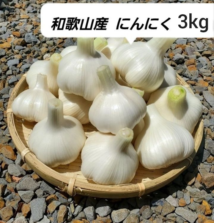 和歌山産 農薬不使用生にんにく3kg 新にんにく - メルカリ