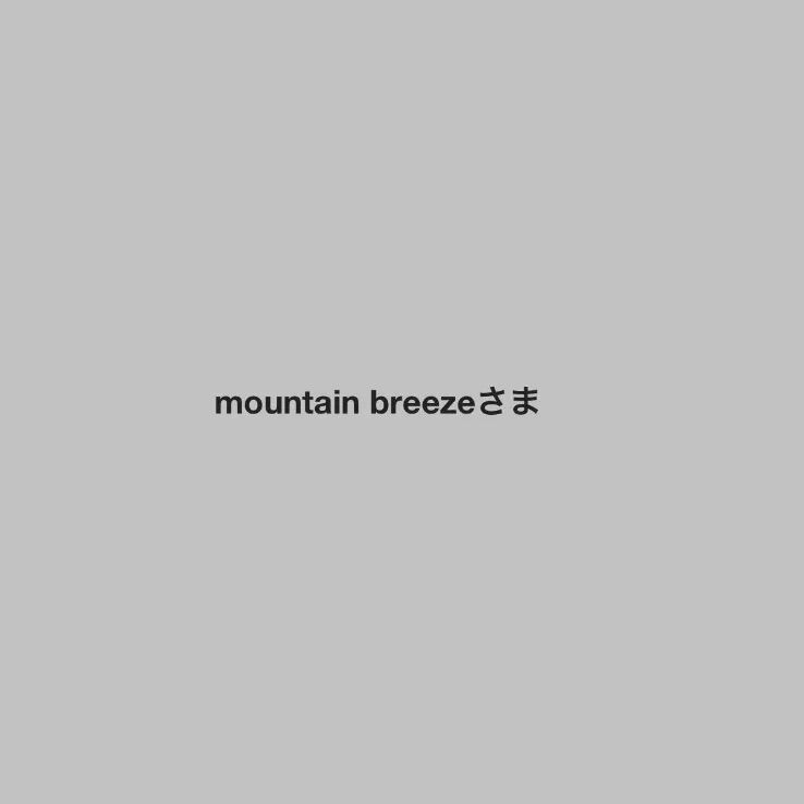 mountain breeze様専用 348と456のセットです