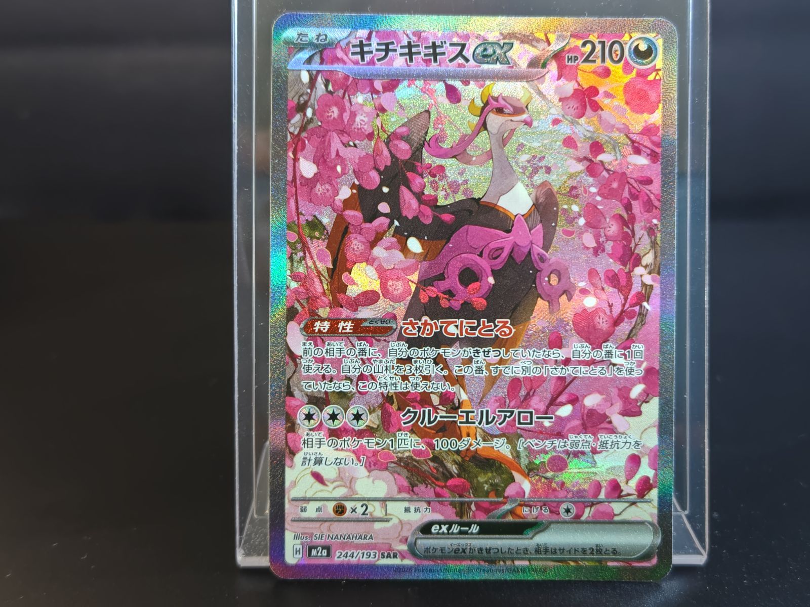 キチキギスex SAR 244/193 M2a メガドリームex 2025 ポケモンカード