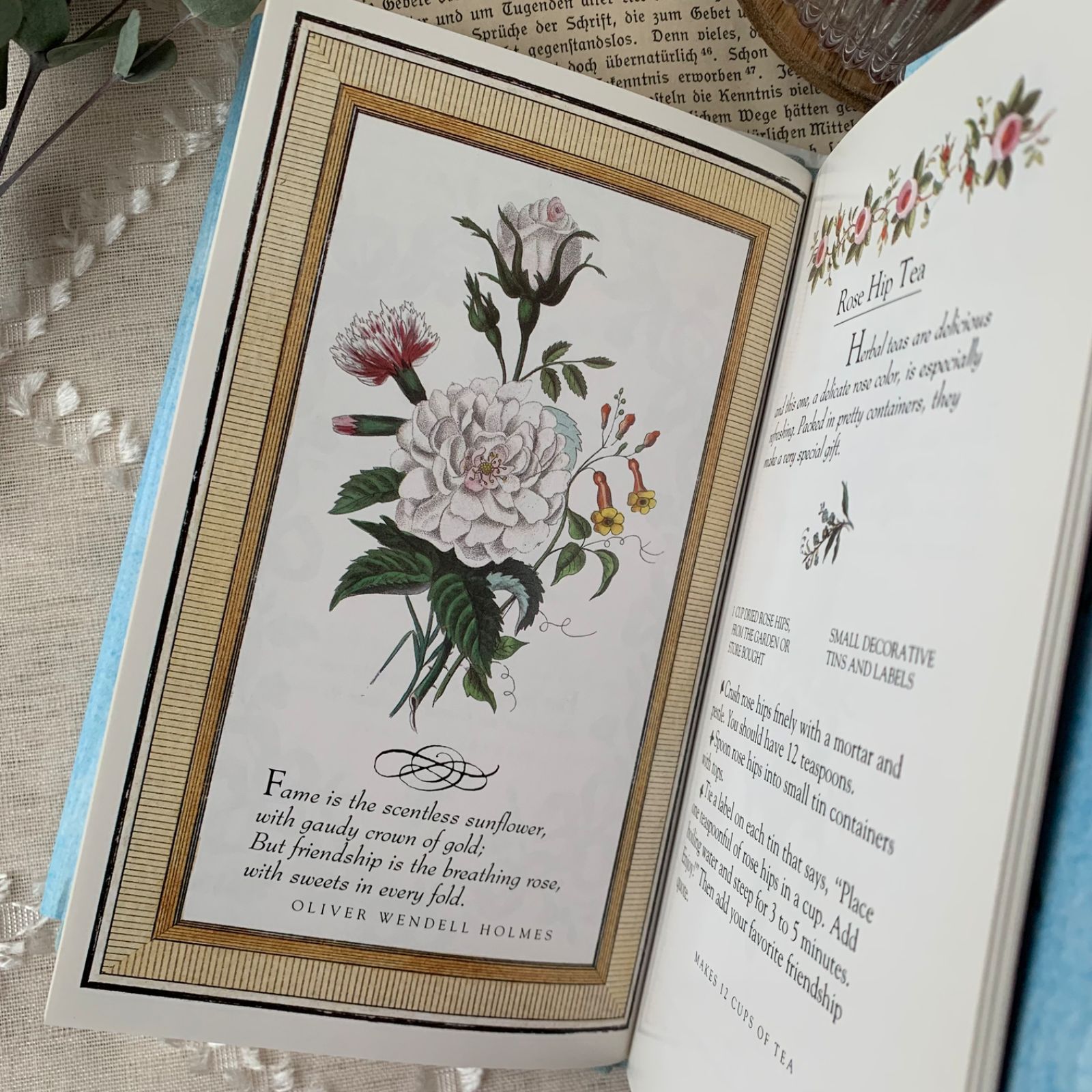 1890年 ヴィクトリアン絵本 洋書 本 ジャンクジャーナル ide f8IB 1890年 ヴィクトリアン絵本 ジャンクジャーナル book ide f81B 【公式