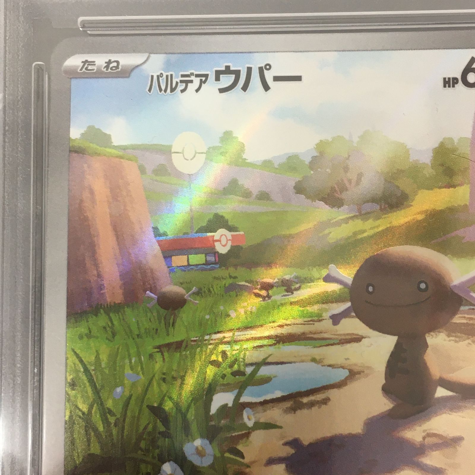 三沢店56-1-0412] ポケモンカード パルデアウパー プロモ PSA10 - メルカリ