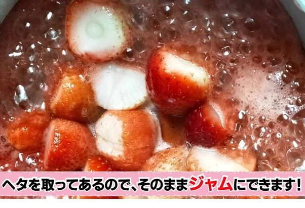 冷凍いちご12kg 完熟とちおとめ【お買い得品】 - メルカリ