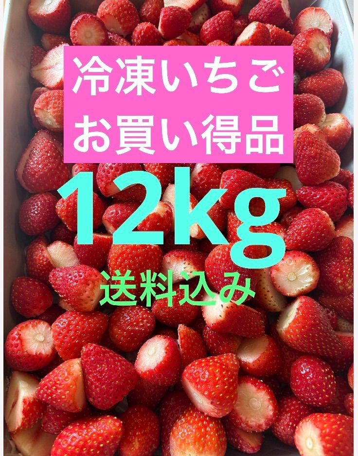 SALE中★冷凍いちご とちおとめ 12kg 完熟とちおとめ 冷凍いちご 12kg バラ凍結 - メルカリ