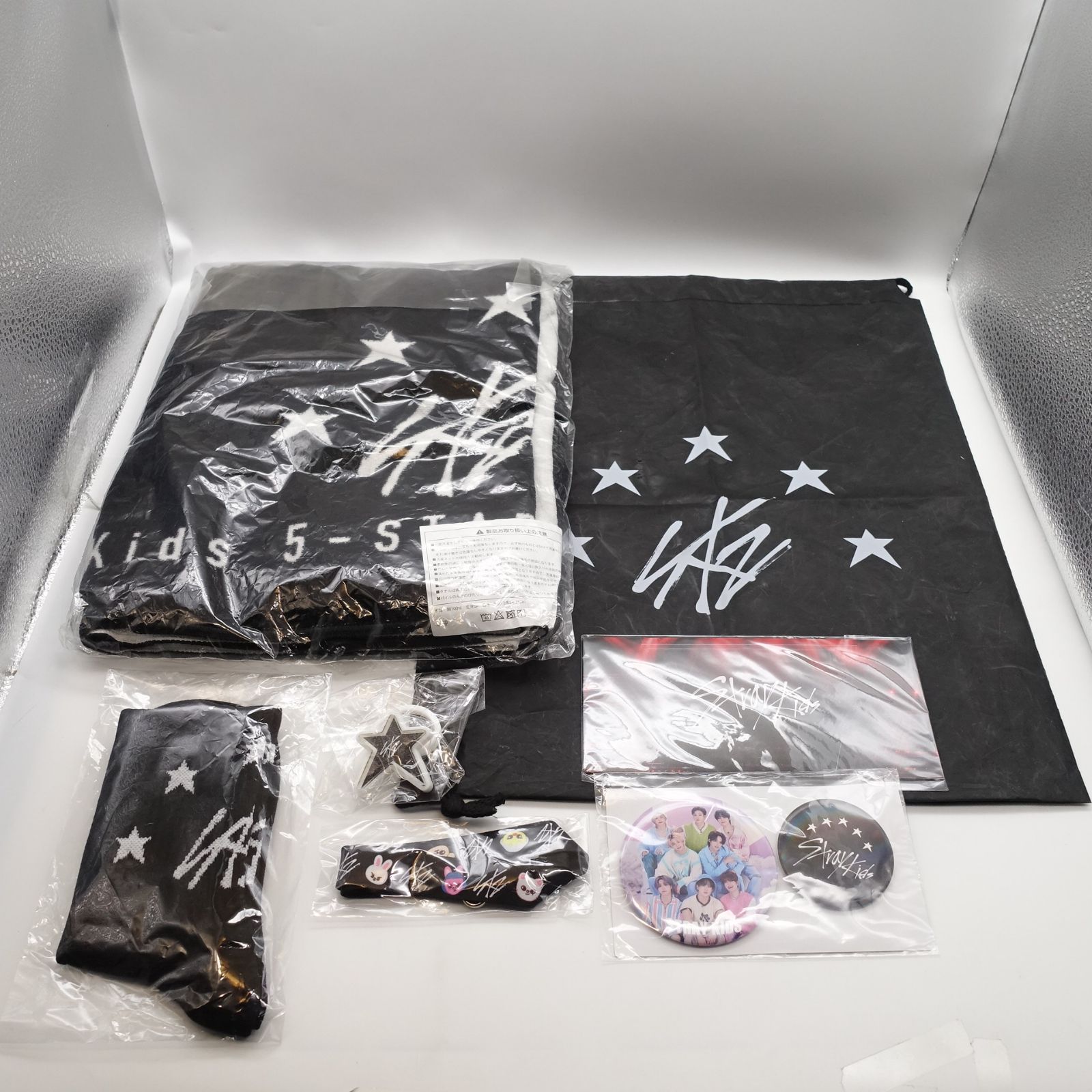 Stray Kids 5-STAR Dome Tour 2023 東京ドーム アップグレイド 特典 